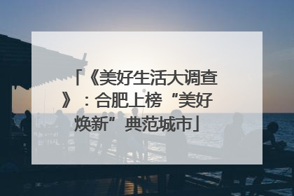 《美好生活大调查》：合肥上榜“美好焕新”典范城市