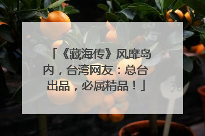 《藏海传》风靡岛内，台湾网友：总台出品，必属精品！
