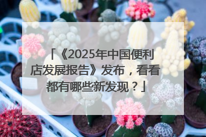 《2025年中国便利店发展报告》发布，看看都有哪些新发现？