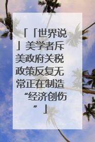 「世界说」美学者斥美政府关税政策反复无常正在制造“经济创伤”