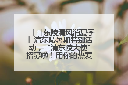 「东陵清风消夏季」清东陵暑期特别活动，“清东陵大使”招募啦！用你的热爱守护世界遗产！