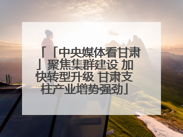 「中央媒体看甘肃」聚焦集群建设 加快转型升级 甘肃支柱产业增势强劲