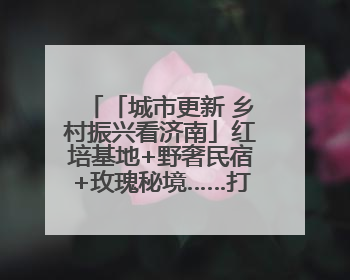 「城市更新 乡村振兴看济南」红培基地+野奢民宿+玫瑰秘境……打开莱芜“齐鲁情映山红片区”的破圈秘籍