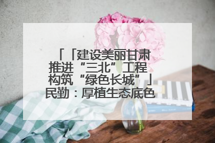 「建设美丽甘肃 推进“三北”工程 构筑“绿色长城”」民勤：厚植生态底色 筑牢绿色屏障