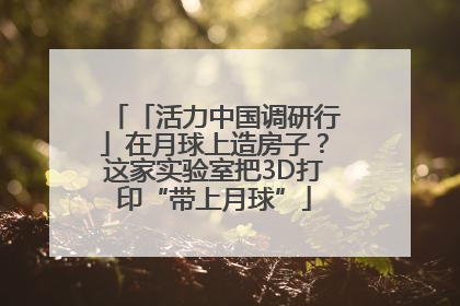 「活力中国调研行」在月球上造房子？这家实验室把3D打印“带上月球”