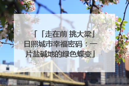 「走在前 挑大梁」日照城市幸福密码：一片盐碱地的绿色蝶变