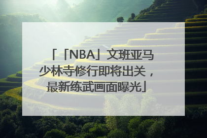 「NBA」文班亚马少林寺修行即将出关，最新练武画面曝光