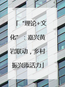 “理论+文化”：嘉兴黄岩联动，乡村振兴添活力