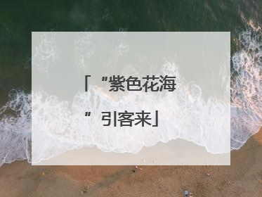 “紫色花海”引客来