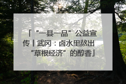“一县一品”公益宣传丨武冈：卤水里熬出“草根经济”的醇香