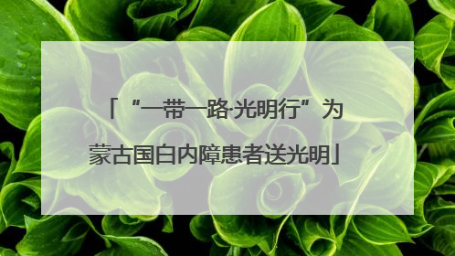 “一带一路·光明行”为蒙古国白内障患者送光明