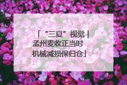 “三夏”视觉｜孟州麦收正当时 机械减损保归仓