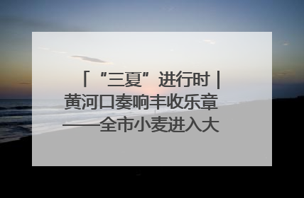 “三夏”进行时｜黄河口奏响丰收乐章——全市小麦进入大面积收获高峰期