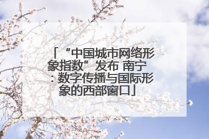 “中国城市网络形象指数”发布 南宁：数字传播与国际形象的西部窗口
