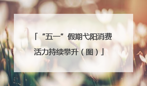 “五一”假期弋阳消费活力持续攀升（图）