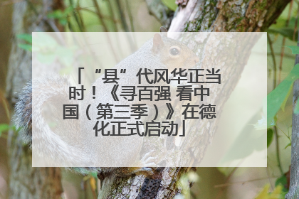 “县”代风华正当时！《寻百强 看中国（第三季）》在德化正式启动