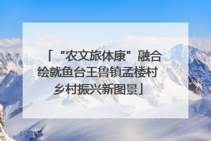 “农文旅体康”融合绘就鱼台王鲁镇孟楼村乡村振兴新图景