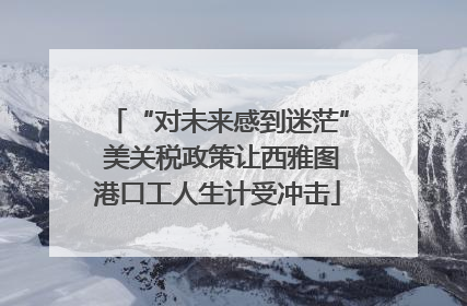 “对未来感到迷茫” 美关税政策让西雅图港口工人生计受冲击
