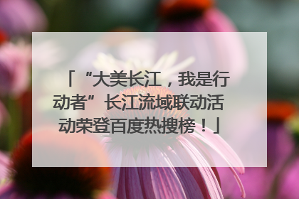 “大美长江，我是行动者”长江流域联动活动荣登百度热搜榜！