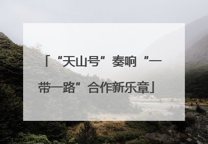 “天山号”奏响“一带一路”合作新乐章