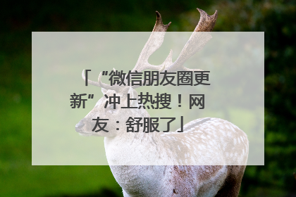 “微信朋友圈更新”冲上热搜！网友：舒服了