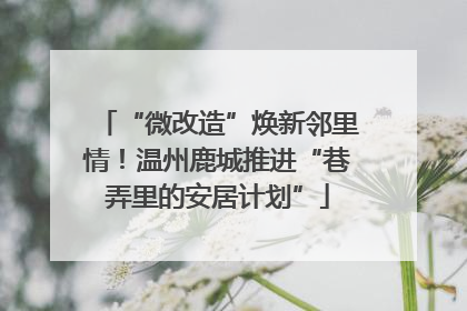 “微改造”焕新邻里情！温州鹿城推进“巷弄里的安居计划”