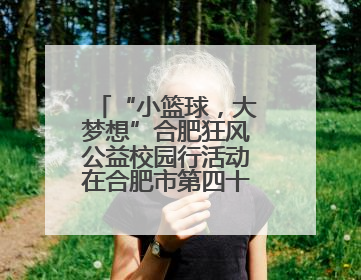 “小篮球，大梦想”合肥狂风公益校园行活动在合肥市第四十二中学南城分校圆满落幕