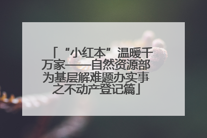 “小红本”温暖千万家——自然资源部为基层解难题办实事之不动产登记篇