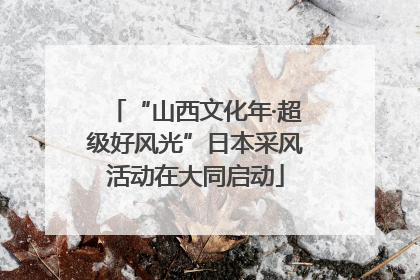 “山西文化年·超级好风光”日本采风活动在大同启动