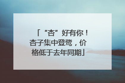 “杏”好有你！杏子集中登鹭，价格低于去年同期