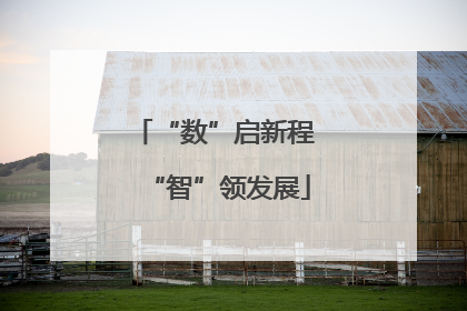 “数”启新程 “智”领发展