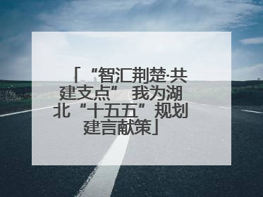 “智汇荆楚·共建支点” 我为湖北“十五五”规划建言献策