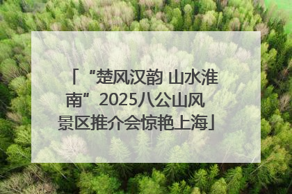 “楚风汉韵 山水淮南”2025八公山风景区推介会惊艳上海