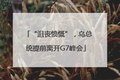“沮丧愤慨”，乌总统提前离开G7峰会