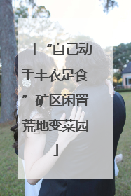 “自己动手丰衣足食”矿区闲置荒地变菜园