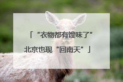 “衣物都有馊味了”北京也现“回南天”