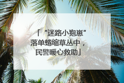 “迷路小狍崽”落单蜷缩草丛中，民警暖心救助