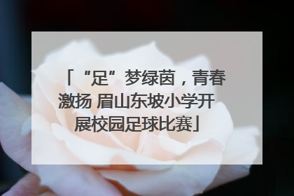 “足”梦绿茵，青春激扬 眉山东坡小学开展校园足球比赛
