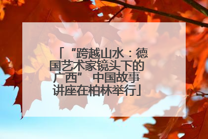 “跨越山水：德国艺术家镜头下的广西” 中国故事讲座在柏林举行