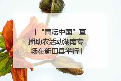 “青耘中国”直播助农活动湖南专场在新田县举行