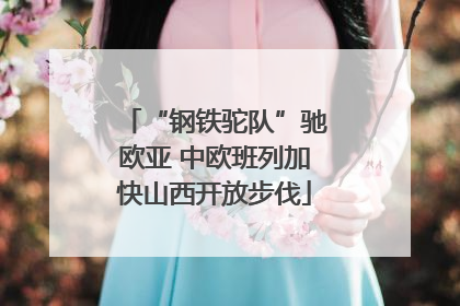 “钢铁驼队”驰欧亚 中欧班列加快山西开放步伐