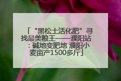 “黑松土活化肥”寻找最美粮王——濮阳站：碱地变肥地 濮阳小麦亩产1500多斤