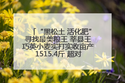 “黑松土 活化肥”寻找最美粮王 莘县王巧英小麦实打实收亩产1515.4斤 超对照田144斤！