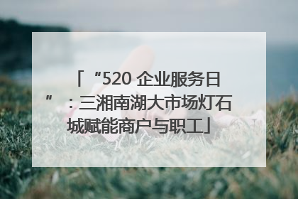 “520 企业服务日”：三湘南湖大市场灯石城赋能商户与职工