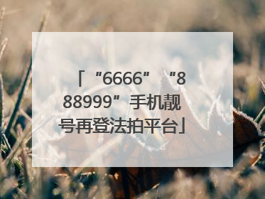 “6666”“888999”手机靓号再登法拍平台