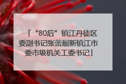 “80后”镇江丹徒区委副书记张蕾履新镇江市委市级机关工委书记