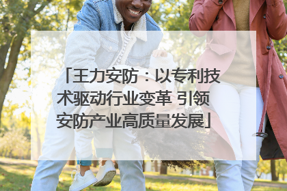 王力安防：以专利技术驱动行业变革 引领安防产业高质量发展