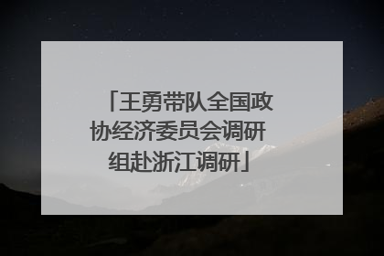 王勇带队全国政协经济委员会调研组赴浙江调研