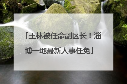 王林被任命副区长！淄博一地最新人事任免