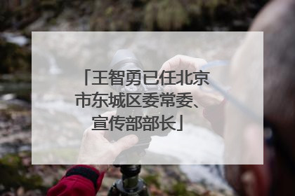 王智勇已任北京市东城区委常委、宣传部部长